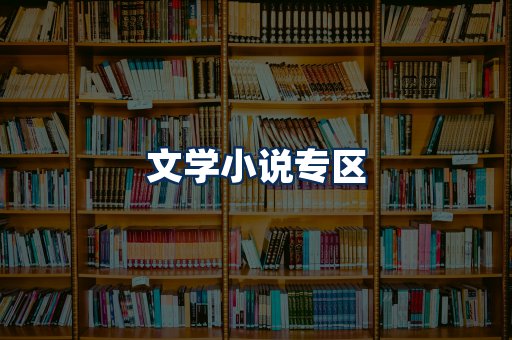 文学小说PDF展示